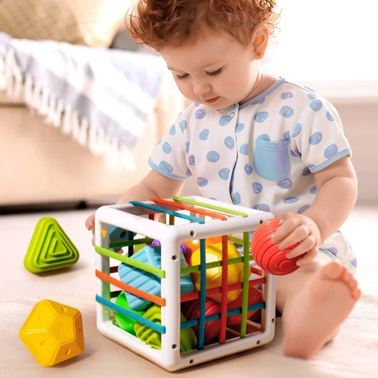 Baby Shape Sorter Toy Montessori Sensory Cube Sorting Toys