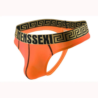 Men's Underwear Sexy Boxers Brand Briefs Male Panties Mens Briefs Gay Underwear