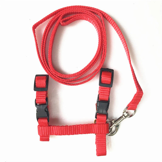 Pet Cat Collar Harness and Adjustable Nylon Pet Traction Dog Kitten Collar