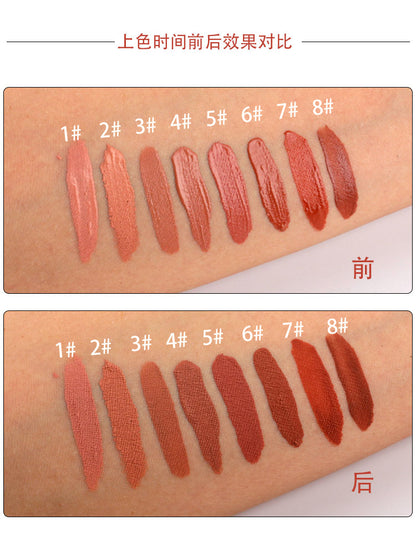 Private Label Hot Selling Lipstick Support OEM Customization Matte Lipstick