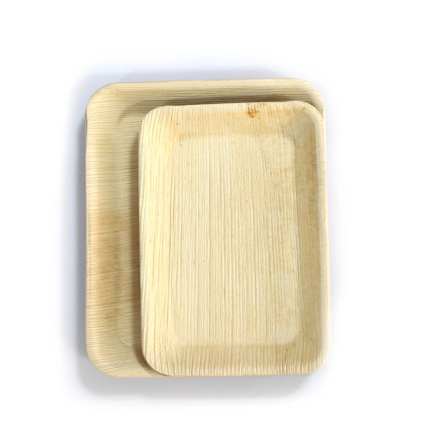 MOQ 1pc Ready to Ship Biodegradable Disposable Plates 6*9inch