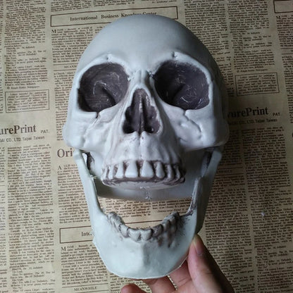 Statues Sculptures Halloween Decorations Artificial Skull Head Model