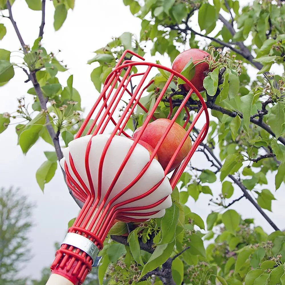 Garden Tools Metalic Fruit Picker Gardening Fruits Collection Picking Head Tool