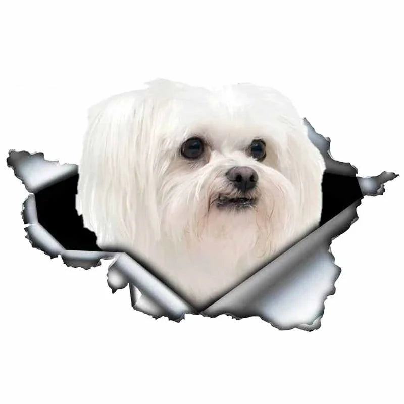 Car Stickers Personality PVC Decals Maltese Dog Motorcycle Laptop Decorative