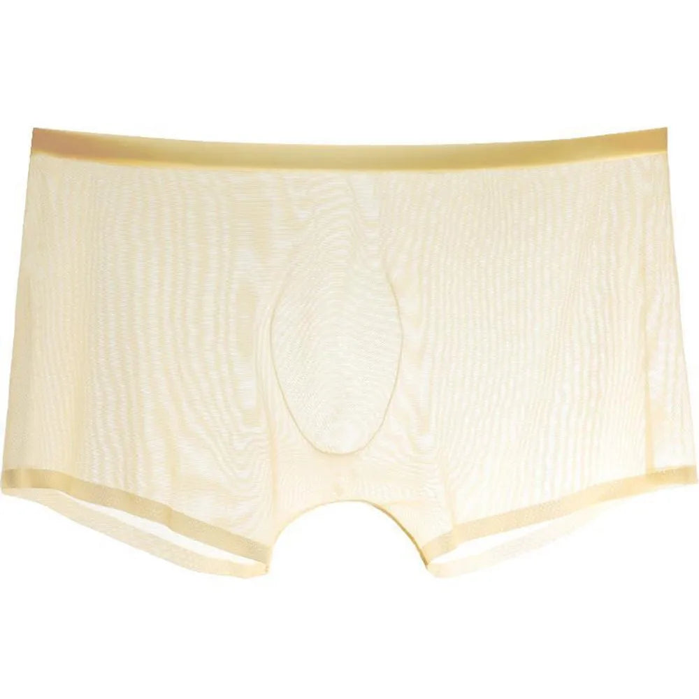 Transparent Boxers for Men See Through Male Underpants Sexy