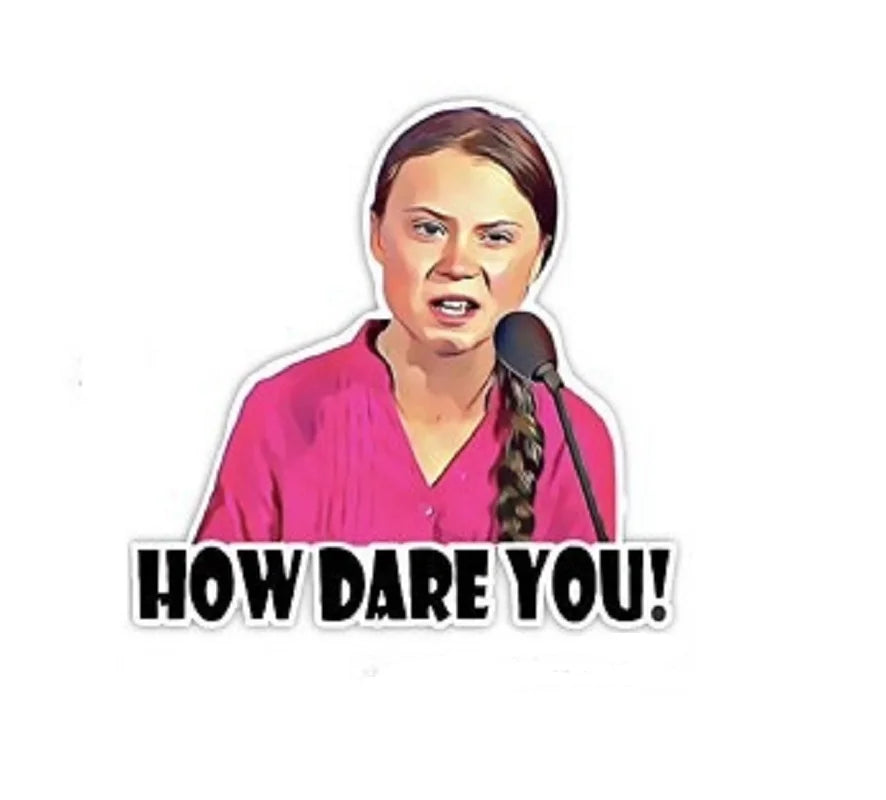 Car Sticker How Dare You! Greta Thunberg Vinyl Decal