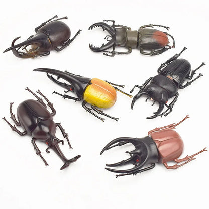 6 Style 13cm Simulation Beetle Toys Special Lifelike Model