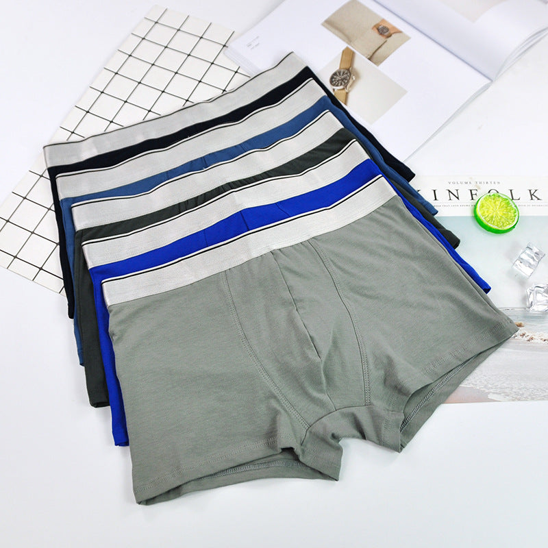 Dropshipping Seamless Cotton Boxer Shorts Men's Boxer Briefs Men's Briefs Boxers