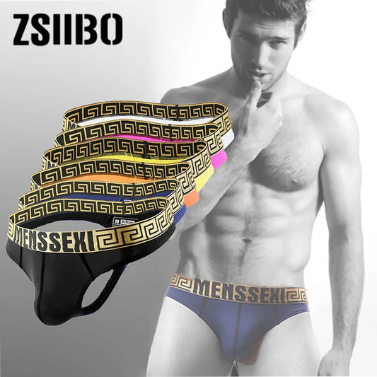 Men's Underwear Sexy Boxers Brand Briefs Male Panties Mens Briefs Gay Underwear