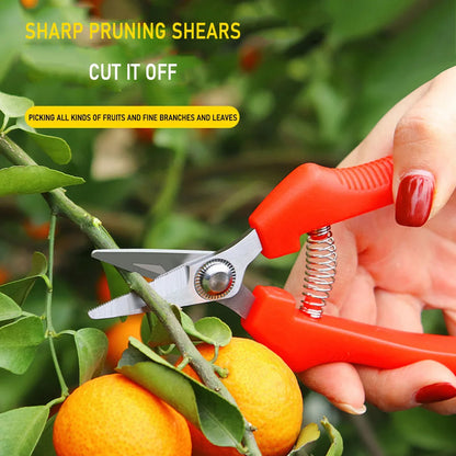 Pliers for Plants Tool Box Powerful Garden Pruners Bonsai Tools