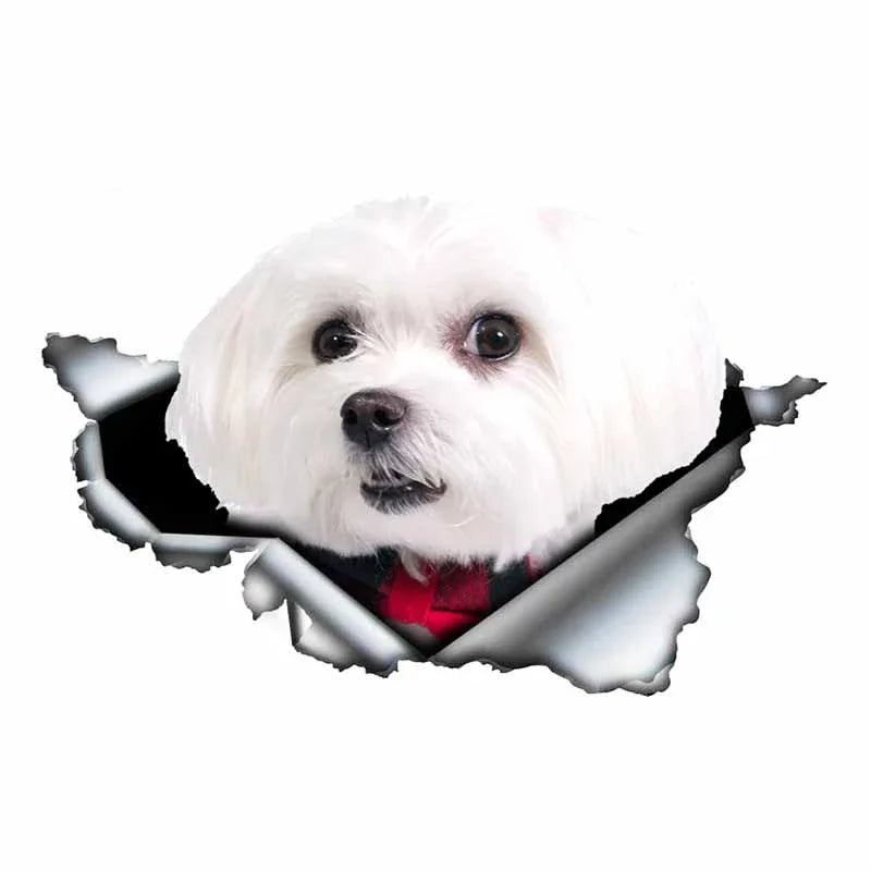 Car Stickers Personality PVC Decals Maltese Dog Motorcycle Laptop Decorative