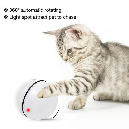 Interactive Pet Toys Automatic Motorized Scrolling USB