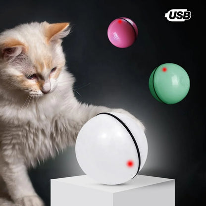 Interactive Pet Toys Automatic Motorized Scrolling USB