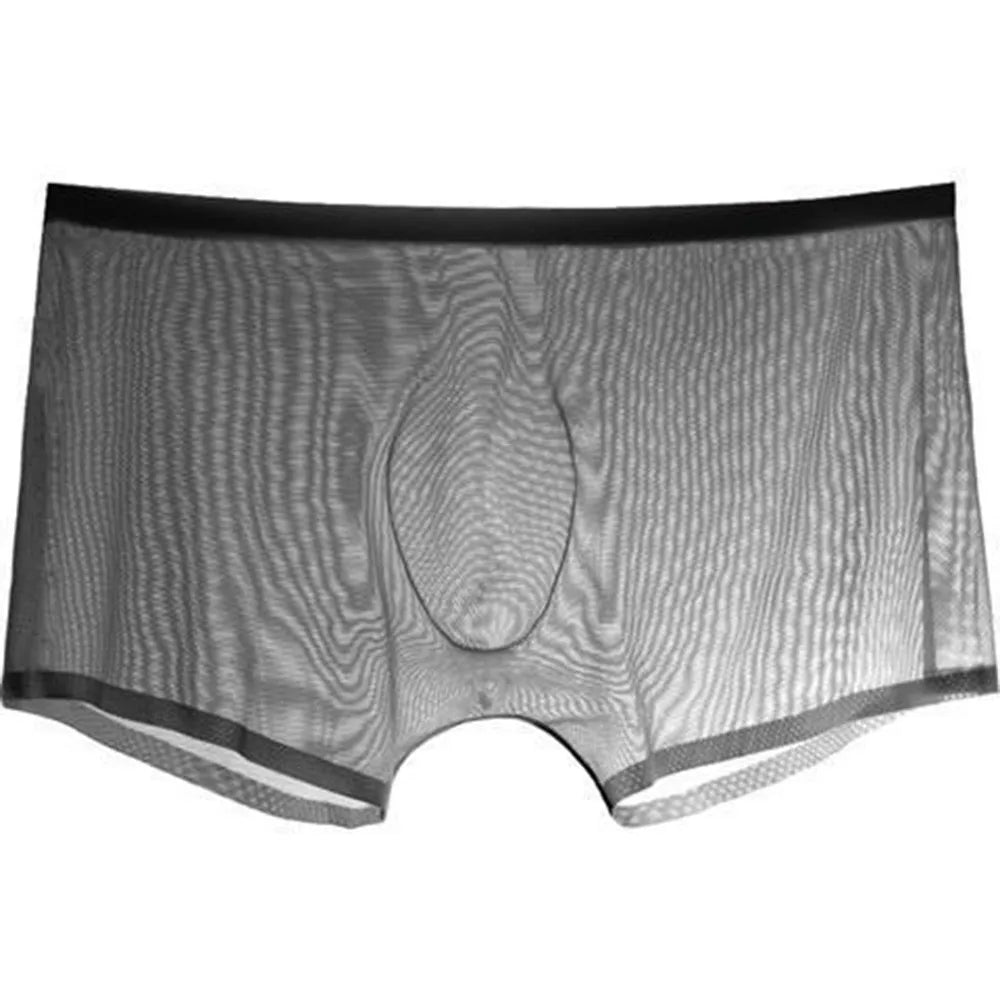 Transparent Boxers for Men See Through Male Underpants Sexy