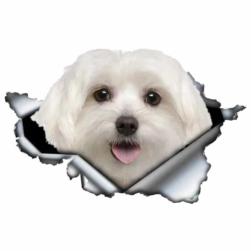 Car Stickers Personality PVC Decals Maltese Dog Motorcycle Laptop Decorative