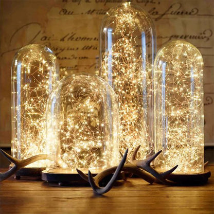 Phalaenopsis Flower Light Decor for New Year 2025