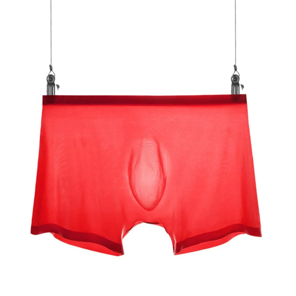 Transparent Boxers for Men See Through Male Underpants Sexy