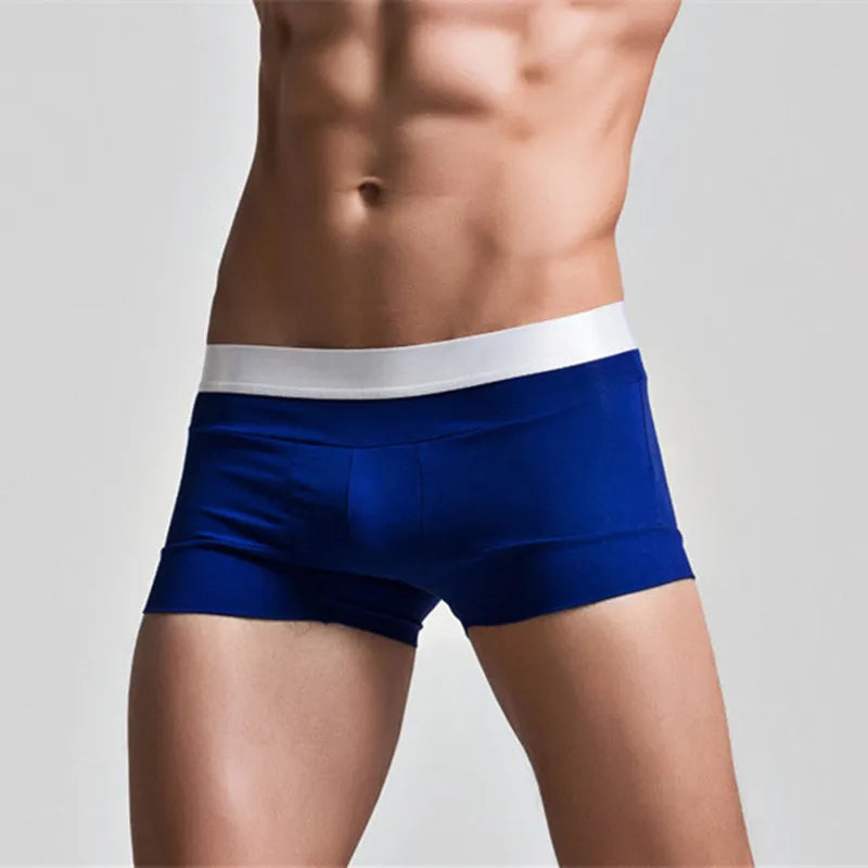 High Quality Cotton Underwear Men Boxer Shorts Fashion Low Waist U Convex