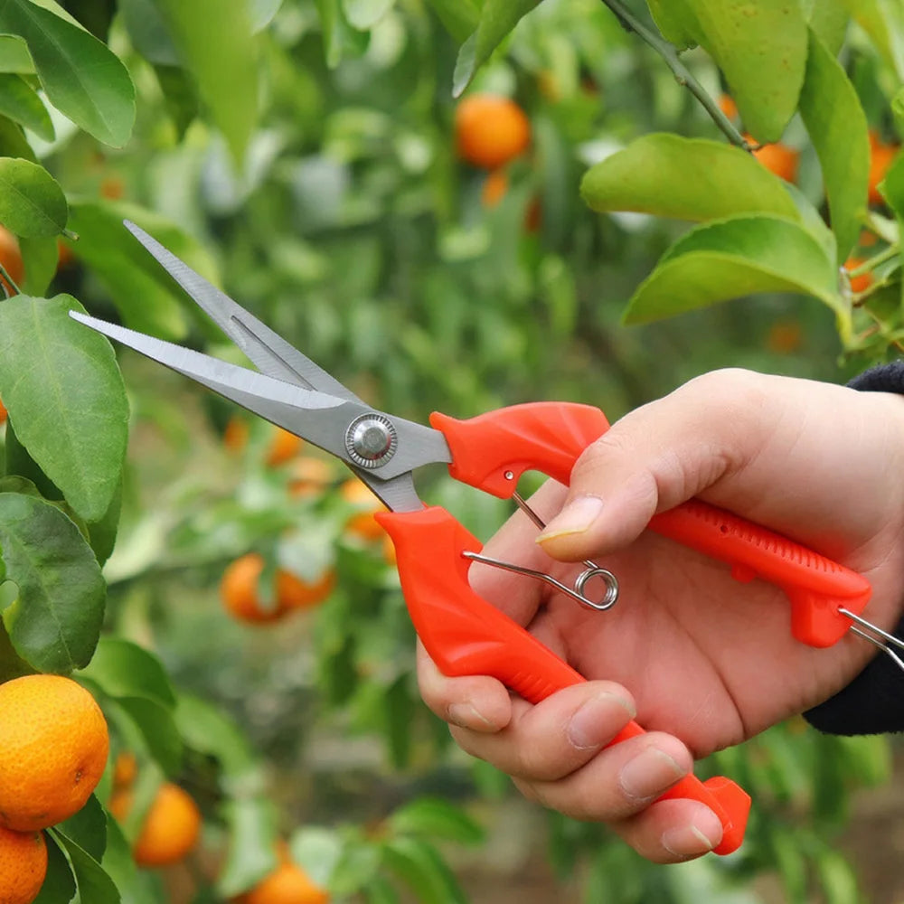 Pliers for Plants Tool Box Powerful Garden Pruners Bonsai Tools