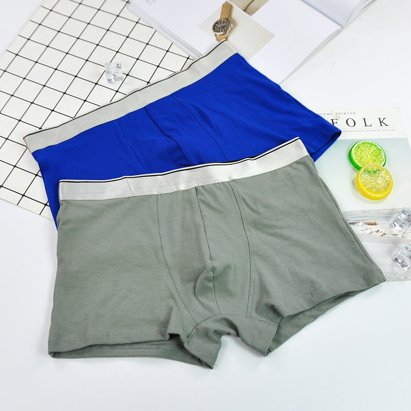 Dropshipping Seamless Cotton Boxer Shorts Men's Boxer Briefs Men's Briefs Boxers