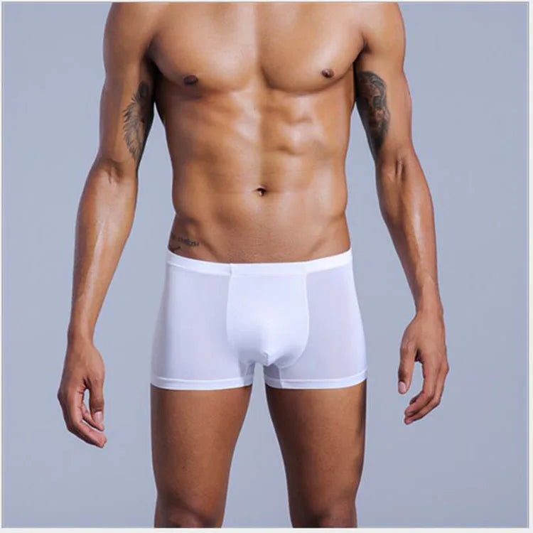 Very Thin Men's Underwear Nylon Ice Silk Boxers Double Bagged