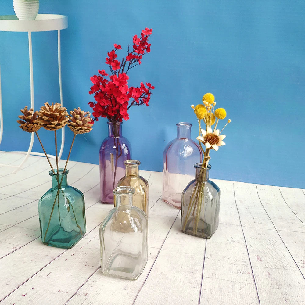 Colorful Glass Vase Transparent Simple Glass Bottle Table Crafts Ornaments