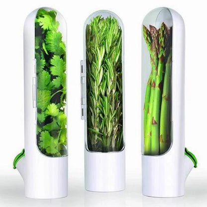 Herb Storage Container Keeps Fresh-Keeping Lids Saver Greens