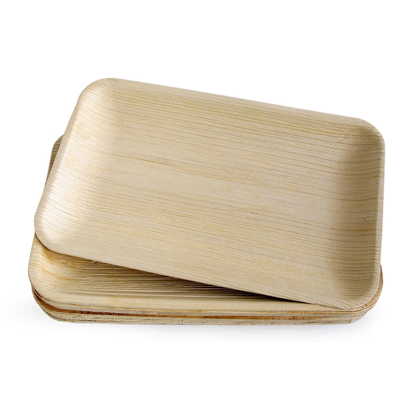 MOQ 1pc Ready to Ship Biodegradable Disposable Plates 6*9inch