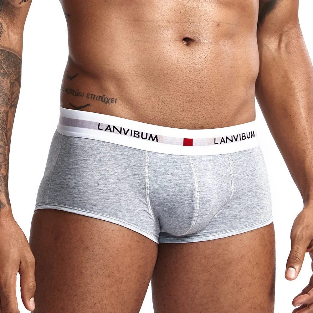 Men Boxers Absorb Sweat Breathable Boxer Spandex / Cotton Men's Underwear