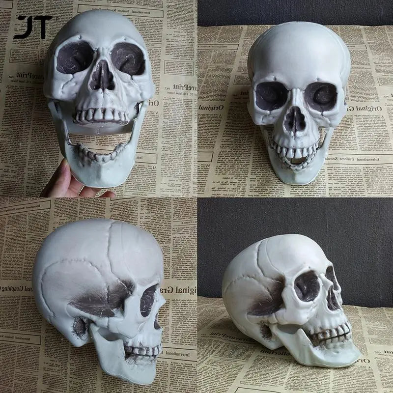 Statues Sculptures Halloween Decorations Artificial Skull Head Model