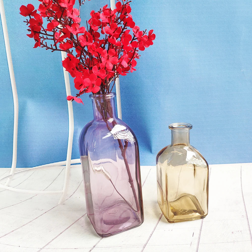 Colorful Glass Vase Transparent Simple Glass Bottle Table Crafts Ornaments