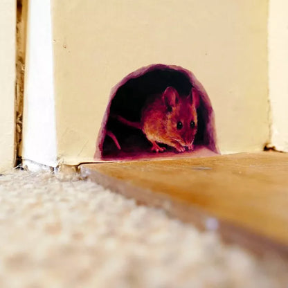 5Pcs Realistic 3D Mouse Hole Wall Stickers Wall Decal Mural Art Rat Wall Sticker