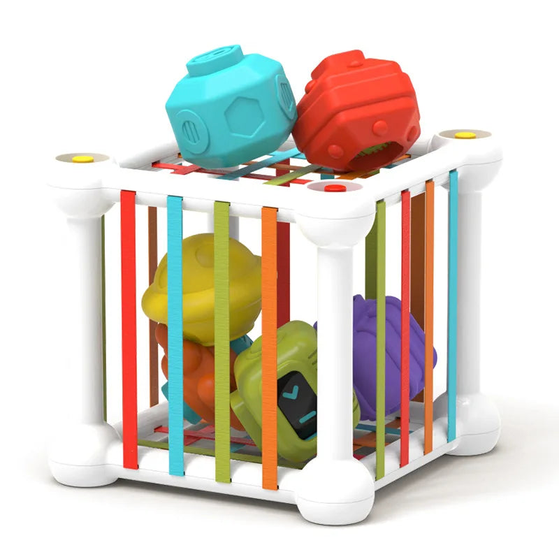 Baby Shape Sorter Toy Montessori Sensory Cube Sorting Toys