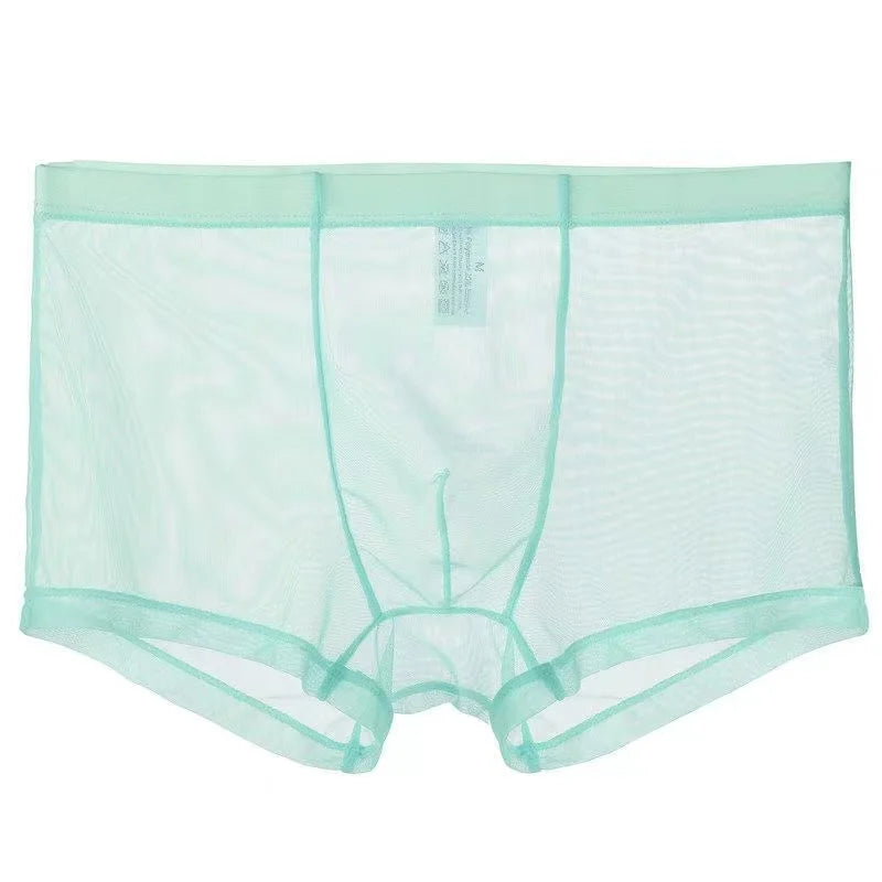 Transparent Boxers for Men See Through Male Underpants Sexy