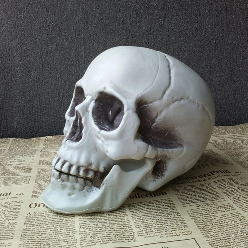 Statues Sculptures Halloween Decorations Artificial Skull Head Model