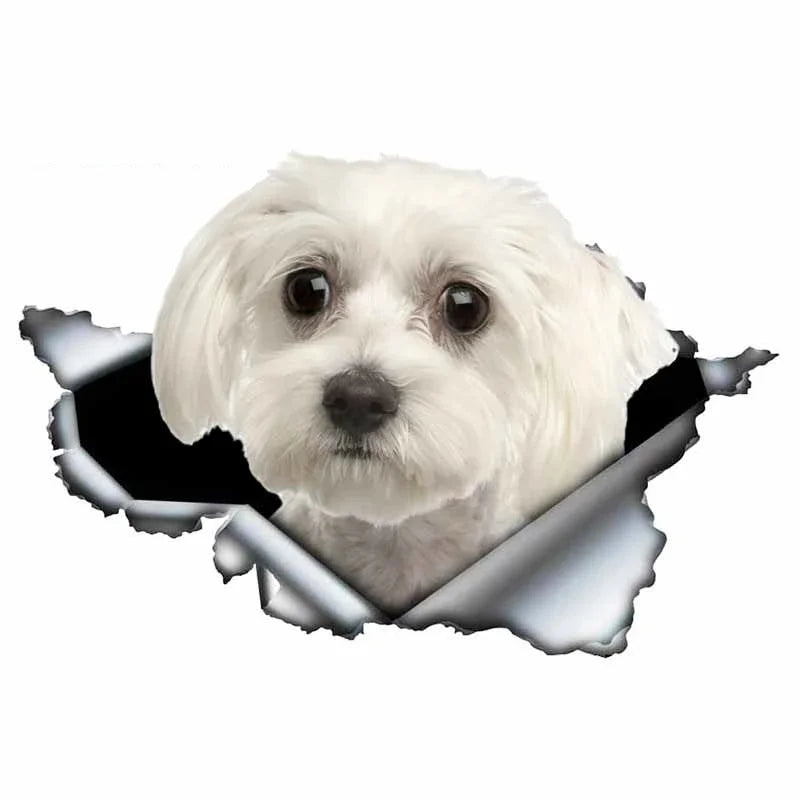 Car Stickers Personality PVC Decals Maltese Dog Motorcycle Laptop Decorative