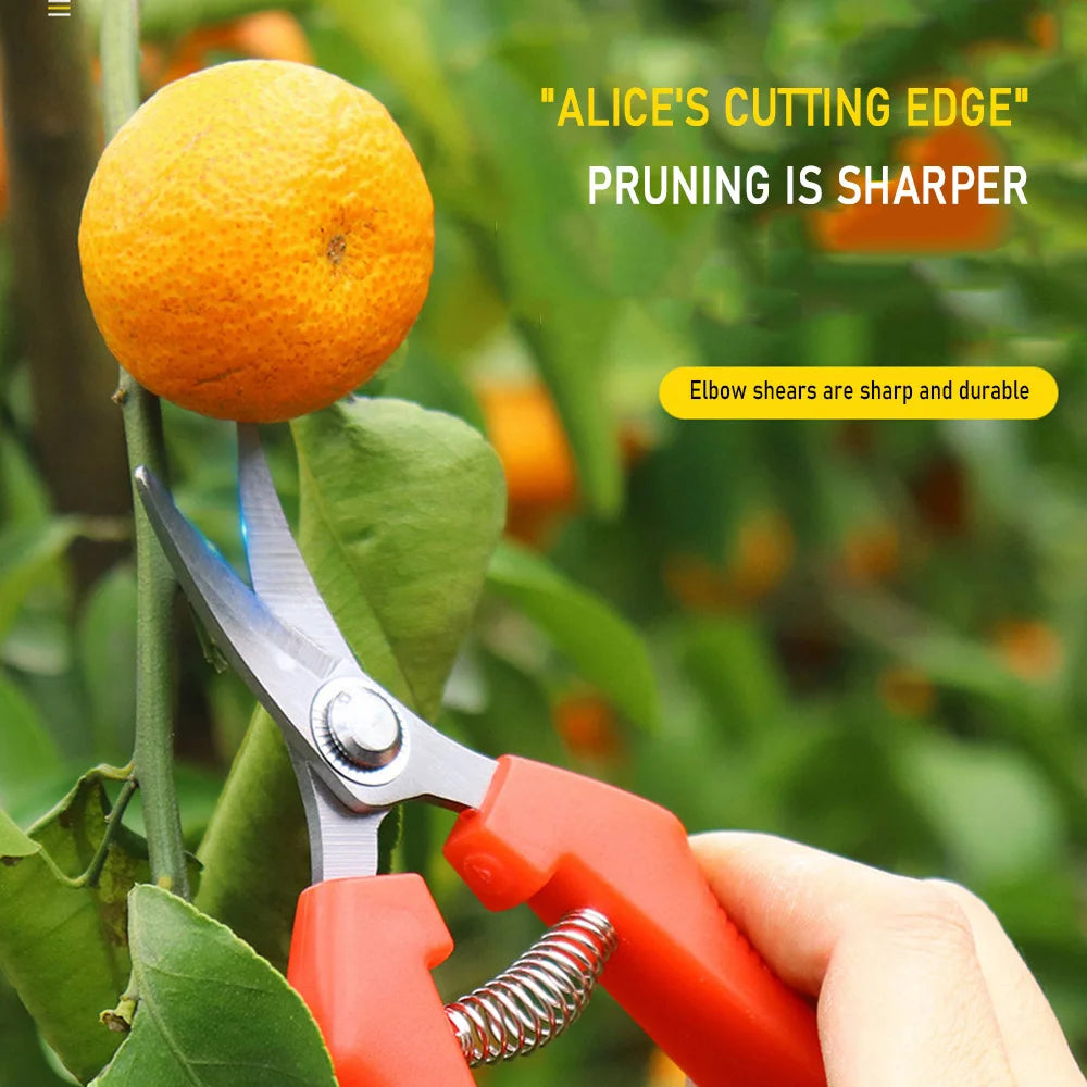 Pliers for Plants Tool Box Powerful Garden Pruners Bonsai Tools