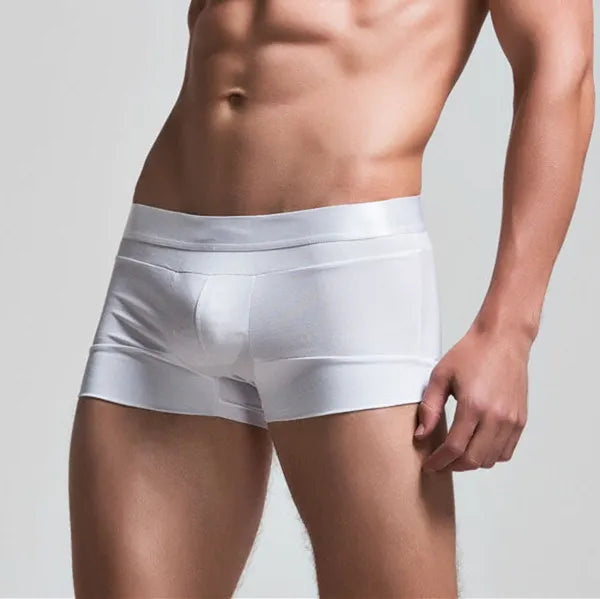 High Quality Cotton Underwear Men Boxer Shorts Fashion Low Waist U Convex