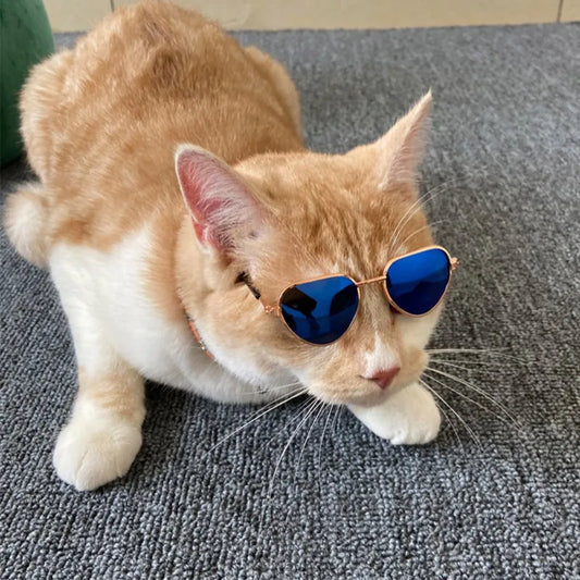 Lovely Pet Cat Dog Glasses Eye-Wear Dog Pet Sunglasses Photos Props Pet