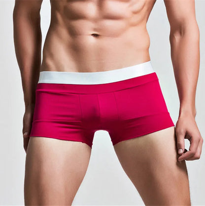 High Quality Cotton Underwear Men Boxer Shorts Fashion Low Waist U Convex