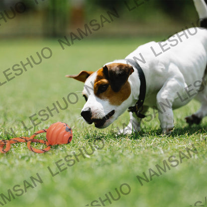 Durable Pet Interactive Exercise Ball Toys Dog Reward Chew Toy