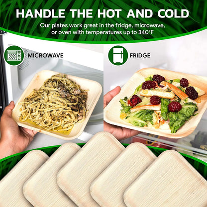 MOQ 1pc Ready to Ship Biodegradable Disposable Plates 6*9inch