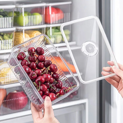 Refrigerator Storage Box Timing Fresh Fridge Organizer Vegetable Fruit Food