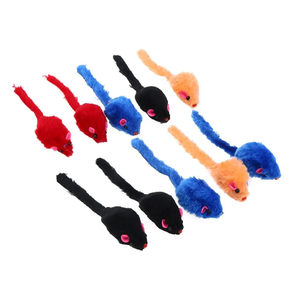 Cat Interactive Toy Funny Rainbow Toy Balls With Feather Cat Toys Play