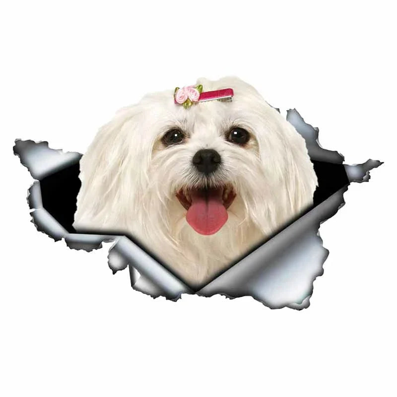 Car Stickers Personality PVC Decals Maltese Dog Motorcycle Laptop Decorative