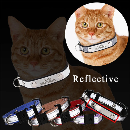 3 In1 Engraved Cat Collar Reflective Kitten ID Tag Phone Number Nameplate