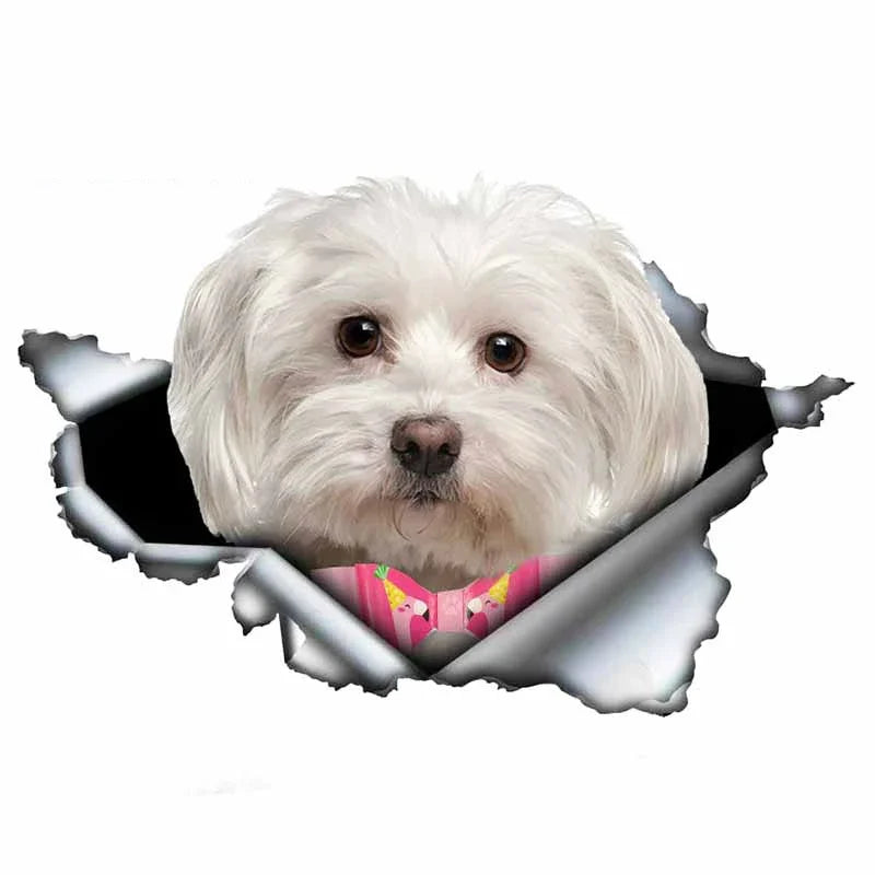 Car Stickers Personality PVC Decals Maltese Dog Motorcycle Laptop Decorative