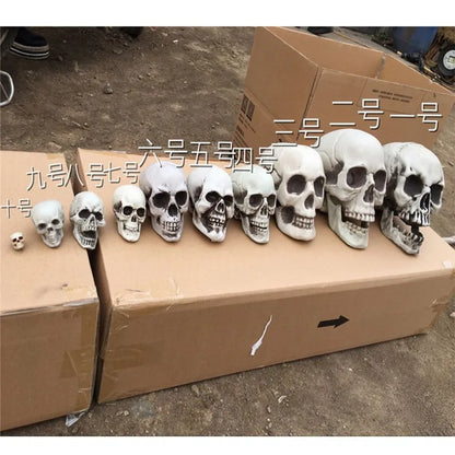 Statues Sculptures Halloween Decorations Artificial Skull Head Model