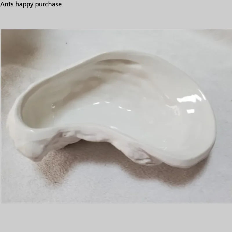 Irregular Ceramic Plate Oyster-Shaped Dinner Plate Dessert Plates Fruit Snack