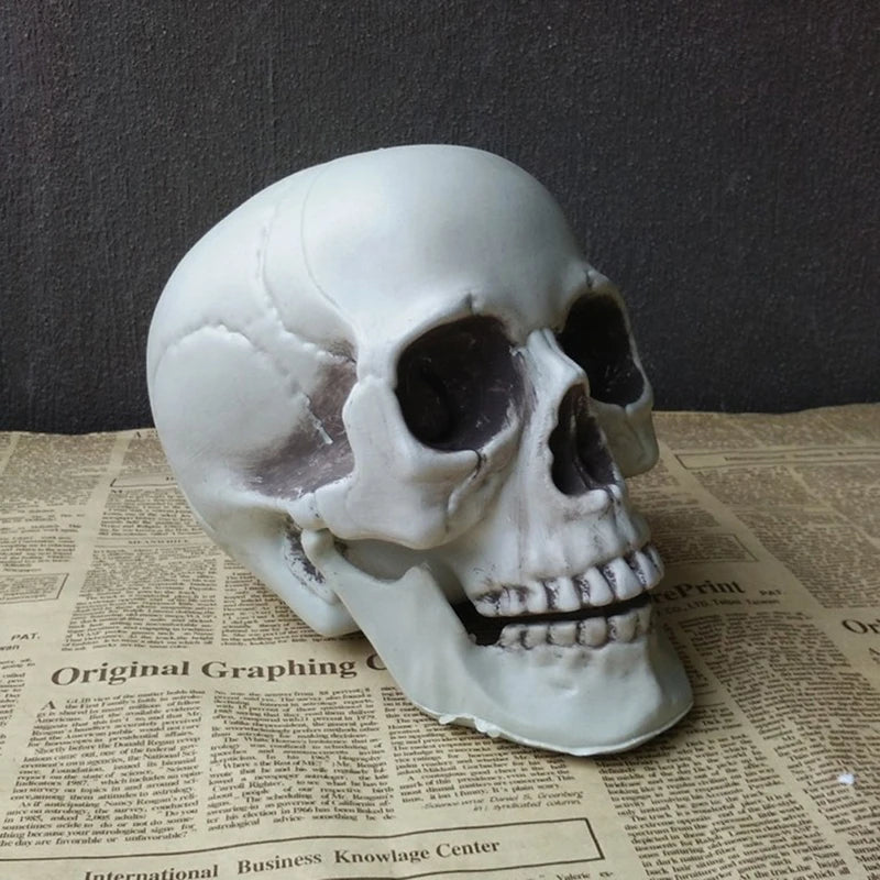 Statues Sculptures Halloween Decorations Artificial Skull Head Model